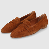 Minerva - Cannella
