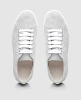 No. 31 WS - Grau